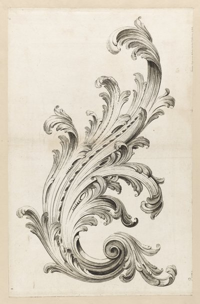 Acanthus Bladontwerp door Alexis Peyrotte